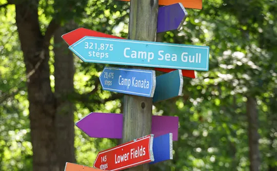 Finley Day Camp