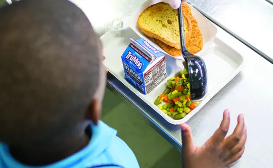 Healthy Meals