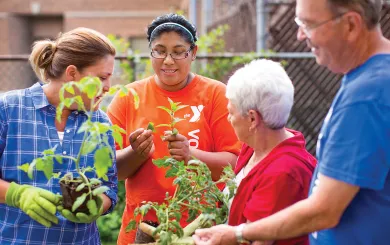 Friends working in a community garden